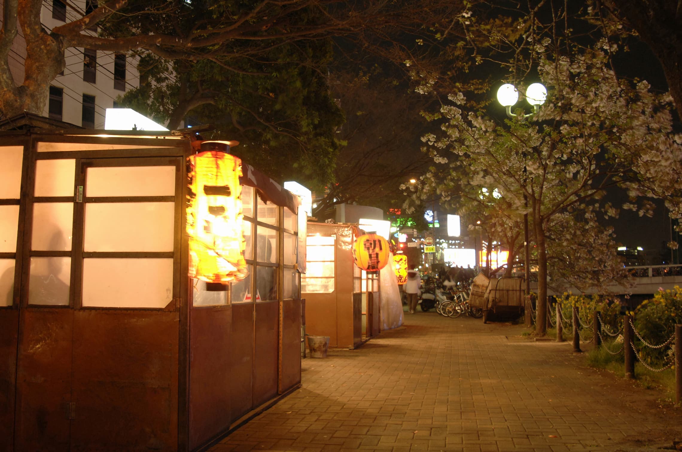 A row of yatai food stalls at night, lanterns lit, under cherry trees